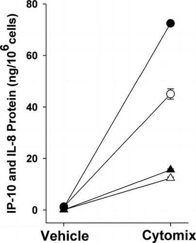 Figure 1 Effect of cytokines (TNF-α, IL-1β and IFN-γ) on IP-10 and IL-8 protein release. Cytokine treatment increased IP-10 (circles) and IL-8 (triangles) protein in epithelial cell-conditioned medium at 12 hr (open symbols) and 24 hr (closed symbols) (p < 0.001 versus vehicle for both IP-10 and IL-8 at 12 and 24 hr). Mean ± SEM of 5 experiments.