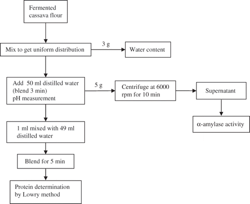 Figure 2 Preparation of samples for analysis.