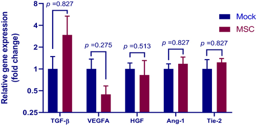 Figure 7 Expression of angiogenic factors in the lung. Lung samples of birds treated with MSCs (MSC group) or PBS (mock group) at weeks 3 post transplantation were subjected to qPCR analysis for measuring the mRNA levels of transforming growth factor (TGF)-β, vascular endothelial growth factor (VEGF)-A, hepatocyte growth factor (HGF) and angiopoietin (Ang)-1 and its receptor Tie-2. Results are expressed as mean ± SEM of 3 birds. The data are representative of 2 separate experiments.
