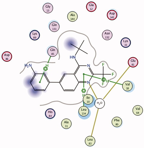 Figure 4. 2D interaction diagram showing DIN-234325 interactions with the key amino acids in the CDK2 active site.