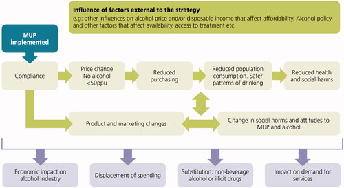 Figure 1. Theory of Change for minimum unit pricing for alcohol. (Figure from Beeston et al., Evaluation of Minimum Unit Pricing of Alcohol: A Mixed Method Natural Experiment in Scotland. Int. J. Environ. Res. Public Health 2020, 17, 3394. https://doi.org/10.3390/ijerph17103394).