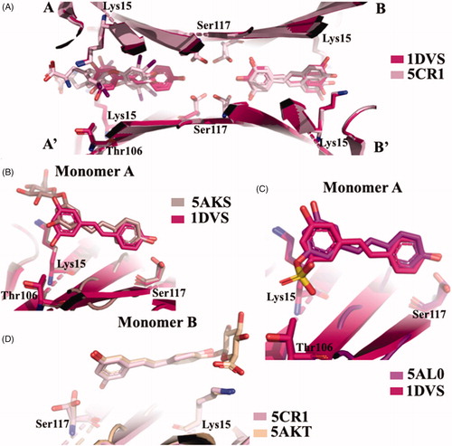 Figure 13. Structure analysis of resveratrol and its metabolic derivatives. (A) Superposition between the two crystal structures TTR-RES deposited at PDB (1DVS versus 5CR1). (B) Comparison between TTR-3-O-glucuronide complex (5AKS) and TTR-RES (1DVS). (C) Superposition of TTR-4’-O-glucuronide crystal complex (5AKT) and TTR-RES (5CR1). (D) Superposition of TTR-3-O-sulphate complex (5AL0) and TTR-RES (1DVS).