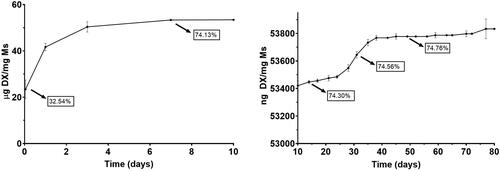 Figure 4. Cumulative in vitro release of dexamethasone from dexamethasone-fibronectin co-loaded PLGA microspheres.