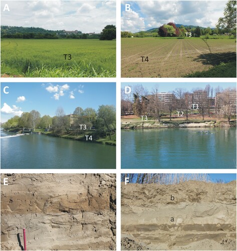 Figure 8. (A) Wide extension of T3 in the Vallere Park, NW of the Moncalieri Castle (visible on background); (B) a significant T3 and T4 succession is preserved in the Meisino Park (the Superga Basilica is visible at the top of the hill); (C) presence of the T3 and T4 succession near the Vittorio Veneto Place along the Po River; (D) detail of T1, T2, and T3 south of the Car Museum; (E) detail of the sand outcropping at the top of T3 on the right bank of the Po River south of the Balbis Bridge; (F) sand (a) at the top of T4 on the right bank of the Po River SW of Moncalieri (MT in the Main Map) covered by 60 tick fine anthropic sediments (b).