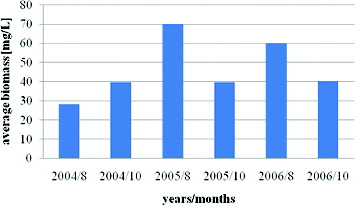 Figure 7. Dynamics of average total phytoplankton biomass in Vaya Lake (2004–2006): 8 August; 10 October.