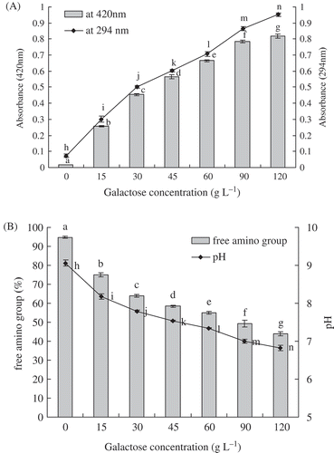 FIGURE 1 A: Effects of galactose concentration on browning intensity and UV-absorbance at 294 nm of galactose-BCP MRPs during heat treatment at pH 9.0 and 95°C for up to 3 h; B: Effects of galactose concentration on free amino group and pH of galactose-BCP MRPs during heat treatment at pH 9.0 and 95°C for up to 3 h. Error bars represent the standard deviation of the mean of triplicate experiments. Values with different letters are significantly different (p < 0.05).