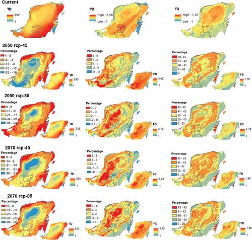 Figure 2. Change in time of the spatial configuration of the bird diversity of Yucatan Peninsula. Small maps represent diverse values for each future scenario.