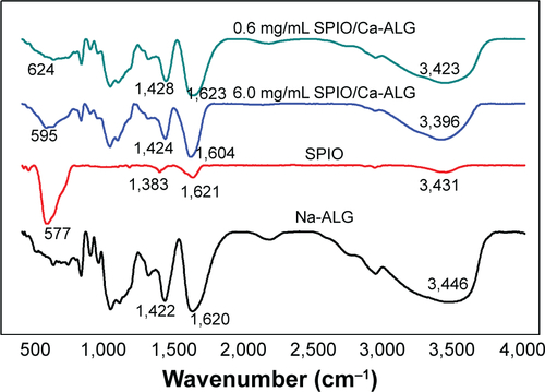 Figure S2 FT-IR spectra of Na-ALG, SPIO NP, and SPIO/Ca-ALG microspheres.Abbreviations: SPIO, superparamagnetic iron oxides; Ca-ALG, calcium alginate; Na-ALG, sodium alginate.