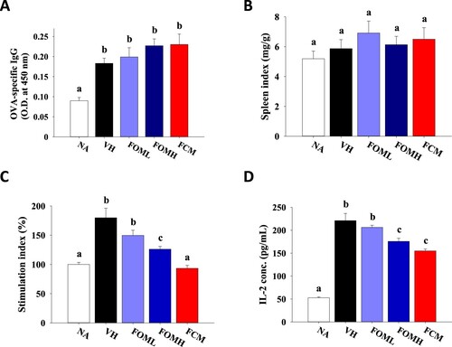 Figure 3. Influence of fermented oat milk supplement on antigen-specific IgG production and antigen-induced splenocytes proliferation. Mice in the naïve (NA) group did not receive any treatment throughout the experiment. The other mice (six mice per group) were sensitized with ovalbumin twice with a two-week interval and daily treated with PBS (vehicle control; VH), fermented oat milk (0.4 or 2 mg/kg body weight; FOML or FOMH), or commercial cow milk yogurt (2 mg/kg body weight; FCM) by gavage through the experiment. Fourteen days after the second sensitization, the mice were sacrificed to individually collect the (A) serum samples for OVA-specific IgG determination and the spleen samples for (B) spleen index calculation. The prepared splenocytes were cultured in the presence of OVA for 24 h to determine the level of (C) stimulation index and (D) IL-2 production. Results are expressed as SEM of triplicate experiments. Different letters indicate statistical difference (p < .05) between each group.