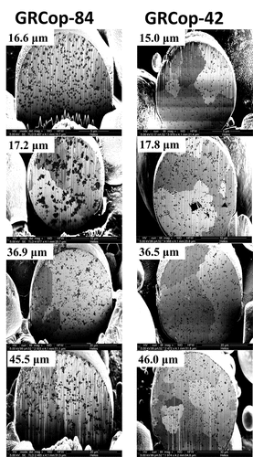 Fig. 6. Structures of the Cr2Nb precipitates in the GRCop-84 (CitationRef .21) and GRCop-42 gas-atomized powders. Precipitate agglomerations form in the GRCop-84 above a threshold in diameter; no equivalent effect was observed in the GRCop-42.