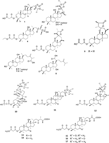 Figure 4. Lanostane-type triterpenoids isolated from F. officinalis. (1) 3-[2-(carboxyacetyl)oxy]-12-hydroxy24-methyl-lanost-8,24-dien-26,23-lactone named fomitopsin G; (2) 3-[2-(carboxyacetyl)oxy]-18,23-epoxy-12-hydroxy-24- methyl-lanost-8-en-26,23-lactone named fomitopsin H; (3) 18,23-epoxy-3,12,-dihydroxy-24-methyl-lanost-8-en-26,23-lactone named demalonyl fomitopsin H; (4) ethyl ester derivative of fomitopsin D; (5) fomitopsin F; (6) (25S)-(+)-12α-hydroxy-3αmalonyloxy-24-methyllanosta-8,24(31)-dien-26-oic acid; (7) fomeofficinic acid G; (8) 15α-hydroxy-3-oxo-24-methylenelanosta-7,9(11)-dien-21- oic; (9) fomitopsin C; (10) officimalonic acid A; (11) (3R, 12R, 23S)-3-carboxyacetyloxy-12-hydroxy-24-methyl-7-oxo-lanost-8,24-dien-26,23-lactone, named officimalonic acid B; (12) officimalonic acid C; (13) officimalonic acid D; (14) officimalonic acid E; (15) officimalonic acid F; (16) officimalonic acid G; (17) officimalonic acid H. Modified from Quang et al. (Citation2005), Han et al. (2016) and Naranmandakh et al. (Citation2018).