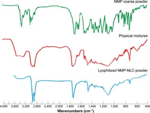 Figure 6 The FT-IR spectroscopy analysis of NMP coarse powder, physical mixture of lipids and NMP and lyophilized NMP-NLC powder.Abbreviations: FT-IR, Fourier transform infrared spectroscopy; NMP-NLC, nimodipine-loaded nanostructured lipid carriers.