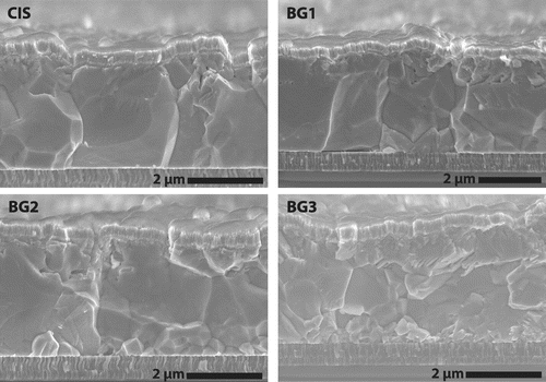 Figure 2. SEM micrographs of solar cell devices with different Ga back gradings. Increasing Ga content (CIS to BG3) leads to reduced grain size towards the back of the absorber.