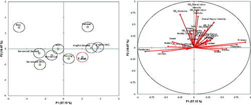 Figure 2. (a) CVA plot of all ten fish samples and (b) sensory attributes.