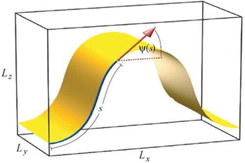 Figure 4. (colour online) An illustration of the buckled membrane, where Lx,Ly and Lz are the dimensions of the simulation cell, s is the coordinate measured along the membrane, and Ψ(s) is the angle between the tangent to the membrane and the x-axis.