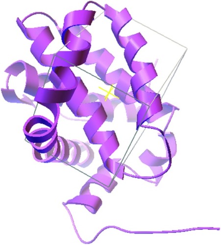 Figure 1 NMR structure of Mcl-1 (PDB ID 2MHS).