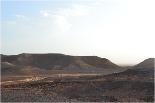 Figure 3. A plateau area to the east of Meroe, with a seasonal wadi bed marked by small outcrops of vegetation.