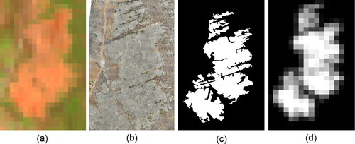 Figure 4. (a) OLI-Landsat 8 RGB 5 654 color composition (b) UAV orthophoto of the outcrop area (light gray region) mainly composed of calcite with some areas of dolomite. (c) The ground truth (GT) is generated from the visual interpretation assisted by an expert in the field. (d) Is the corresponding GT of (c) resized to match the Landsat 8 pixel.