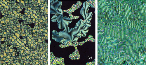 Figure 20. (Colour online) (a) Looped defect texture of dimer 2a3 at 78 °C, (b) schlieren and looped texture shown together for 2a3, and (c) the hexagonal periodic defect texture of 2a3, all at x100 magnification.