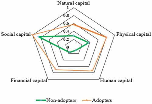 Figure 4. Livelihood capital variations between non-adopter and adopter households using asset pentagon.