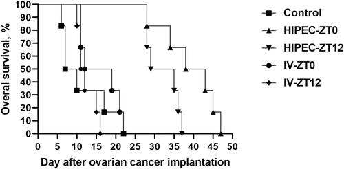 Figure 5 Survival of rats with ovarian cancer after intravenous administration and HIPEC with cisplatin at different time points.