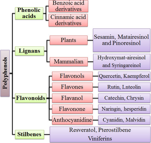 Figure 1 General classification of phenols.