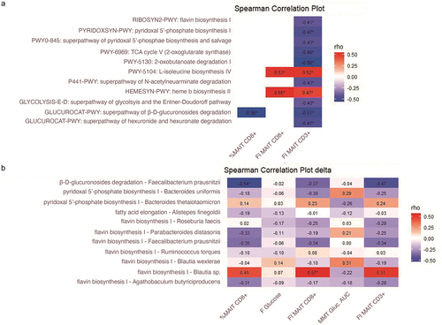 Figure 5. Correlation heatmap between A. Pathways and MAIT cell proportions and markers B. Bacterial species and genera belonging to the most discriminative pathways and MAIT cell markers. *FDR p < 0.05. Spearman correlation. Pathways and bacterial species and genera were based on fecal metagenomics analysis. FI: mean fluorescence intensity of TCR Va7.2. AUC: area under the curve. MMT: mix meal test.