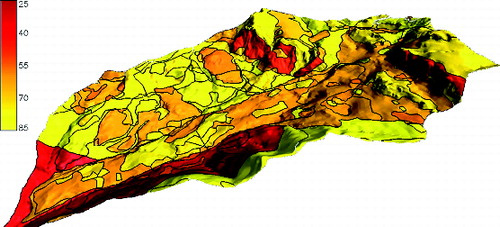 Figure6. 3D map showing the spatial variation of CNII (low CN means low run-off and high infiltration).