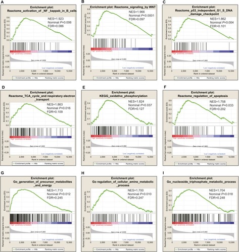 Figure 8 GSEA results of ERCC8.Notes: (A)–(F) GSEA results of c2 reference gene sets for high ERCC8 expression. (G)–(I) GSEA results of c5 reference gene sets for high ERCC8 expression.Abbreviations: ERCC, excision repair cross-complementation; GSEA, gene set enrichment analysis; FDR, false discovery rate; ES, Enrichment Score; NES, Normalized Enrichment Score.