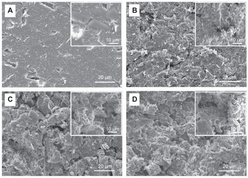 Figure 3 SEM images of the microroughened PEEK/n-HA/CF ternary composites.Notes: (A) Control; (B) group 1; (C) group 2; and (D) group 3 with high-resolution images inserted on the top right.Abbreviations: SEM, scanning electron microscope; PEEK/n-HA/CF, carbon fiber-reinforced polyetheretherketone–nanohydroxyapatite.