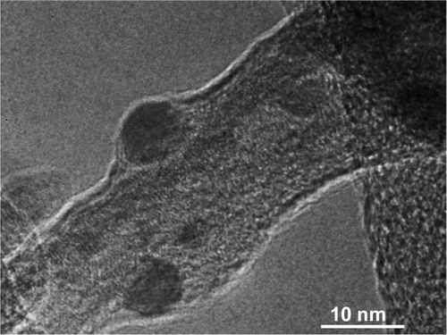 Figure S2 AgNP-filled hydrogen titanate nanotubes.Abbreviation: AgNP, silver nanoparticle.