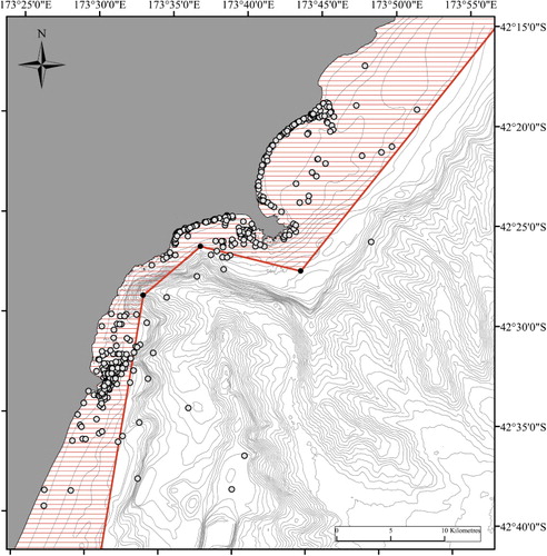 Figure 3 Locations of Hector's dolphin groups encountered on boat-based surveys and opportunistic sightings made by a local ecotourism operator between 2005 and 2013. Red lines correspond to the current boundaries of the set net exclusion zone.