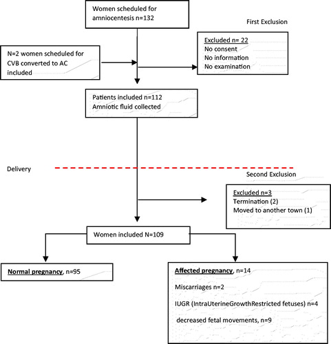 Figure 1. Flow chart.