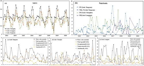 Figure 12. The potential factors for the water color anomalies in Lake Tangxun, Lake Changhu, and Lake Longgan. (a) The monthly dynamic of NDVI in three lakes basin. (b) Changes of TP and NH3-N concentrations in three lakes (the valid observations from 2013 to 2020), the y-axis represents the times that the concentration of the nutrients exceeded the standard value. The Relationship between precipitation, wind speed, temperature, sunshine and water color anomaly in Lake Tangxun (c), Lake Changhu (d), Lake Longgan (e) (The value of wind speed was scaled by a factor of 10 to show it more clearly).