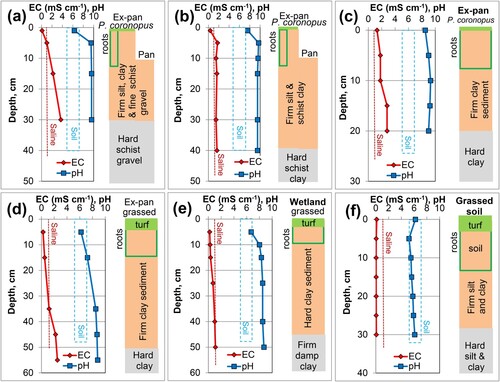 Figure 7. Variations of EC and pH with depth in some Patearoa substrates. A,B, Depth profiles through an active salt pan and immediately adjacent ex-pan (10 cm above pan surface) with incipient exotic vegetation cover. C,D, Depth profiles through ex-pan areas with protosoil (Figure 5C) and grass cover, respectively. E, Depth profile through a wetland floor (Figure 5D). F, Depth profile through substrate beneath well-established grass soil in a gully above the salt line (Figure 5E).