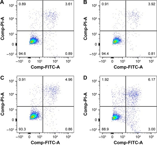 Figure 2 Flow cytometry analysis of HUVECs cultured with PEG-DA-CuS NPs at various concentrations: (A) 0.1 mg/mL; (B) 0.2 mg/mL; (C) 0.4 mg/mL; and (D) 1 mg/mL.Abbreviations: FITC, fluorescein isothiocyanate; HUVECs, human umbilical vein endothelial cells; NPs, nanoparticles; PEG, polyethylene glycol; PI, propidium iodide.