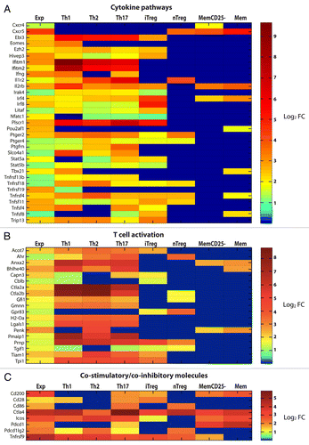 Figure 7. Comparison of upregulated genes in activated tumor-specific TH1 cells to reference data sets relative to several CD4+ T-cell subsets. (A–C) T-cell receptor (TCR)-transgenic SCID mice were injected s.c. with MOPC315 cells. Gene expression of activated tumor-specific CD4+ T cells isolated from pooled tumor-draining lymph nodes (LNs) 8 d later was analyzed. Upregulated genes were determined by comparing the gene expression in (1) activated tumor-specific CD4+ T cells to naïve tumor-specific CD4+ T cells (first column, annotated “Exp”) and (2) various activated reference CD4+ T-cell subsets to naïve reference CD4+ T cells. These reference sets were mouse CD4+ T cells from a previous study (annotated as TH1, TH2, TH17, iTreg and Treg in the heat-map) and memory T cells from the Immunological Genome Project (annotated as MemCD25-, and Mem in the heat-map). Genes that were upregulated (fold change, FC ≥ 2) in tumor-specific TH1 cells were selected for comparisons to reference data sets. Heat-map comparisons were categorized as the manual functional annotation categories shown in pie charts (Fig. 6). Each column represents expression comparisons for each CD4+ T-cell subset, and the scale bar indicates the level of differential gene expression (log2 transformed). Comparisons associated with a FC < 2 are in blue. (A) Genes involved in cytokine pathways. (B) Genes involved in T-cell activation. (C) Genes involved in co-stimulation/co-inhibition. Additional heat-maps can be found in Figures S1 and S2.