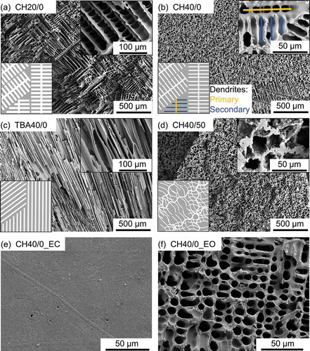Figure 3. Characteristic cross-sectional SEM images of the pore structure of pyrolyzed monoliths and simplified schemes of the pore structure for (a) CH20/0, (b) CH40/0, (c) TBA40/0 and (d) CH40/50; SEM images of the lateral surface of sample CH40/0 (e) as prepared (to a great extend closed) and (f) after removing the dense layer (open lateral surface).