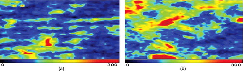 Figure 4. Comparison between pre- (a) and post-treatment blood perfusion (b) in the positive control group.