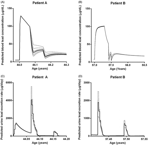 Figure 3. Sensitivity analyses of the CLT model for Patients A and B. The graphs show the dependency of the blood [Patient A (panel 3A) and Patient B (panel 3B)] and urine [Patient A (panel 3C) and Patient B (panel 3D)] lead concentrations on the accuracy of the chosen lead–succimer apparent association constant (kapp). Predictions with the individually fitted lead–succimer apparent association constant are indicated by the continuous line. Predictions by varying the lead–succimer apparent association constant are indicated by dotted lines.