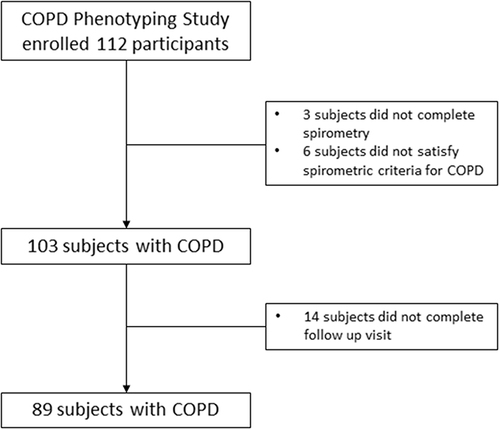Figure 1 A flow chart for inclusion of patients with COPD.