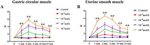 Figure 1. The effect of different concentration of oxytocin (OT) on gastric circular muscle strips and uterine smooth muscle. (A) The effect of different concentration of OT on gastric circular muscle strips. (B) The effect of different concentrations of OT on uterine smooth muscle. Data are expressed as mean ± SD. n = 6. **p < 0.01 vs. control.