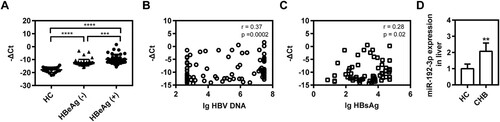 Figure 6. Circulating and hepatic miR-192-3p expression are increased in CHB patients. (A) Distribution of serum miR-192-3p levels in HBeAg-positive or negative patients and healthy controls. Serum miR-192-3p level was measured by quantitative real-time RT-PCR analysis using specific primers. Correlation analyses of serum miR-192-3p levels and HBV DNA loads (B) or HBsAg levels (C) in CHB patients. (D) The hepatic miR-192-3p levels in CHB and healthy controls. *P < .05; **P < .01; ns, no significance.