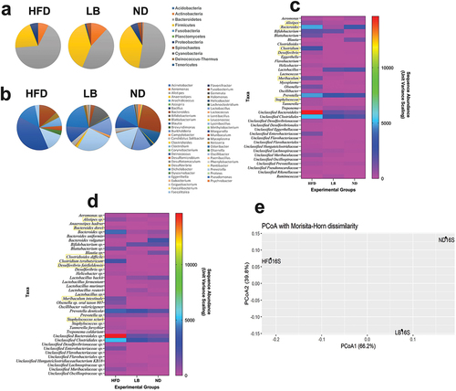 Figure 4. Effects of L. brevis SAD supplementation on the fecal metagenomic profiles (In case of fig. 4c and 4d Taxa inside the yellow boxes on the heatmaps are positively co-related with the pathogenesis of metabolic syndromes and IR).