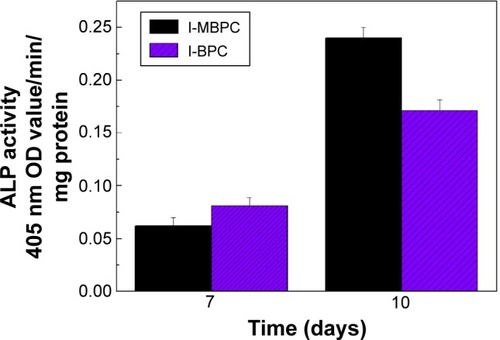 Figure 11 ALP of MC3T3-E1 cells cultivated on l-MBPC and l-BPC scaffolds for 7 days and 10 days.Note: The data represent the mean ± standard deviation (n=5).Abbreviations: ALP, alkaline phosphatase; l-MBPC, Li-containing mesoporous bioglass/mPEG-PLGA-b-PLL composite; l-BPC, Li-containing bioglass/mPEG-PLGA-b-PLL composite; OD, mean absorbance values.