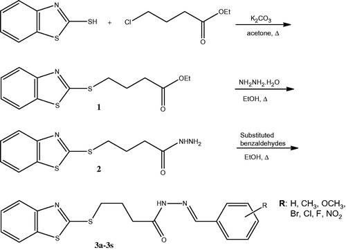 Scheme 1. The synthesis of the compounds.