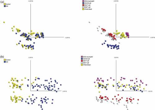 Figure 1. PCA of the DNA methylation dataset in all 145 samples.