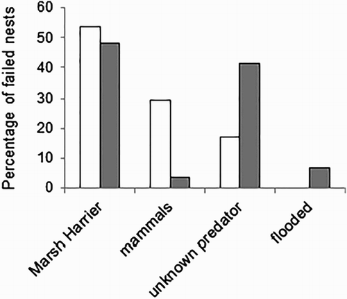 Figure 3. The causes of Water Rail (white bars, n = 41) and Little Crake (grey bars, n = 29) nest failures. Presented data include both predators identified by camera traps and by marks left on eggshells.