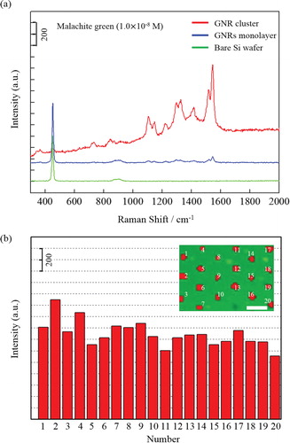 Figure 14. GNR clusters array for SERS application (a) Typical SERS spectra (λex = 531 nm) of MG (1.0 × 10−8 M) on the GNR cluster array (red), GNR monolayer (blue), and bare silicon substrate (green). (b) Histogram for the SERS intensity at the 1544 cm−1 peak of MG from 20 different GNR clusters, which are indicated in the inset (the scale bar of inset is 5 µm) [Citation116].