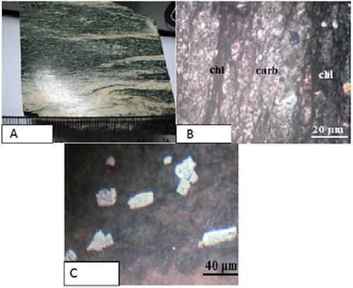 Figure 11. a) Hand specimen of granitoid of alteration 3. b) Photomicrograph showing a highly sheared rock with chlorite (chl) band, carbonate band identified and disseminated pyrite. c) Photomicrograph of granitoid showing euhedral and pyrite.